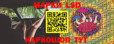 a pvp Гай